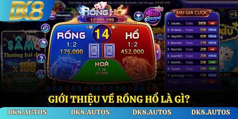 Giới thiệu về Rồng Hổ là gì?