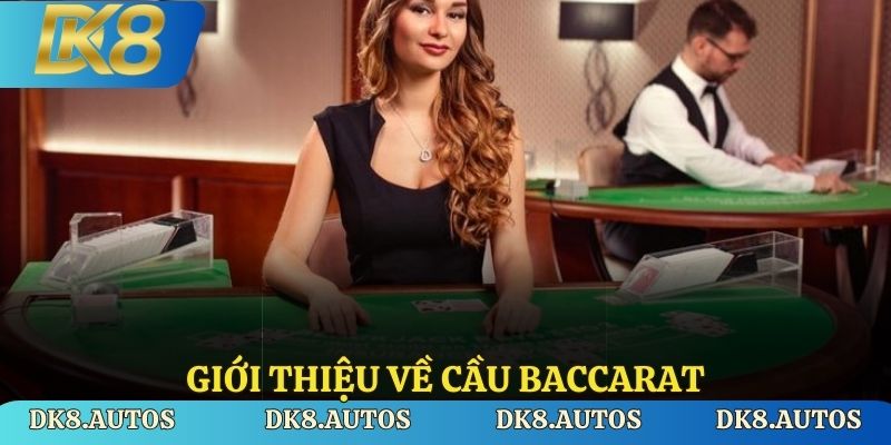 Giới thiệu về cầu baccarat