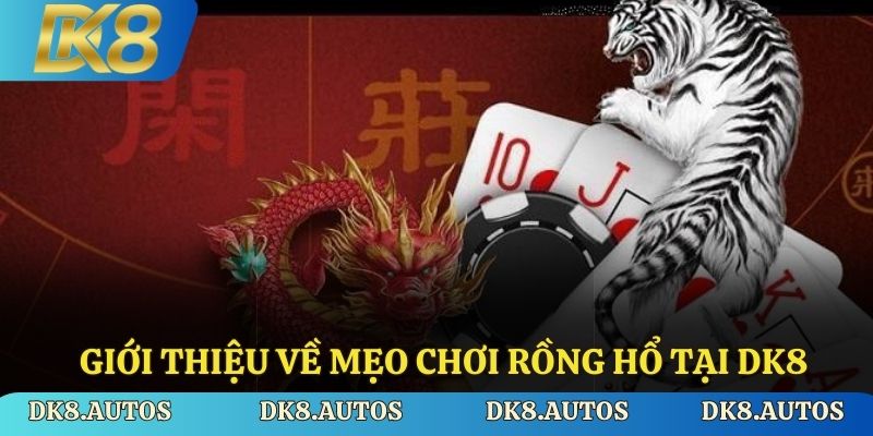 Giới thiệu về mẹo chơi Rồng Hổ tại DK8