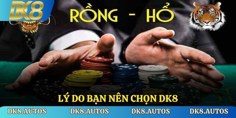 Lý do bạn nên chọn Dk8