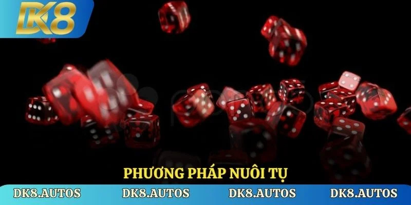 Phương pháp nuôi tụ