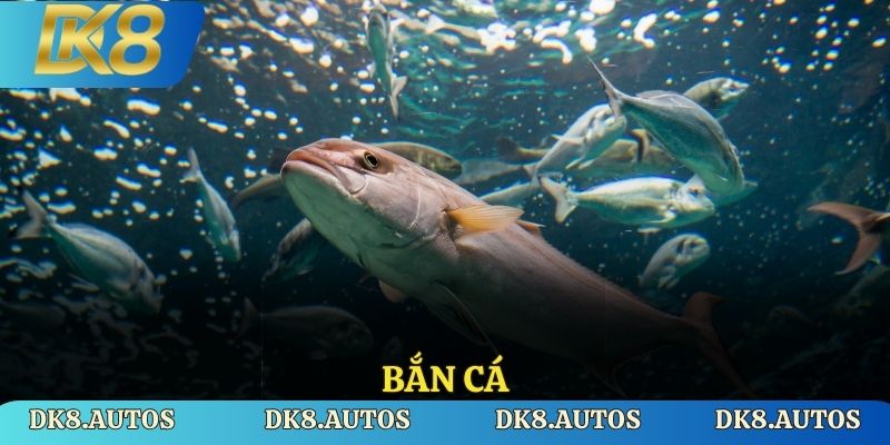 Sảnh bắn cá thú vị cùng DK8